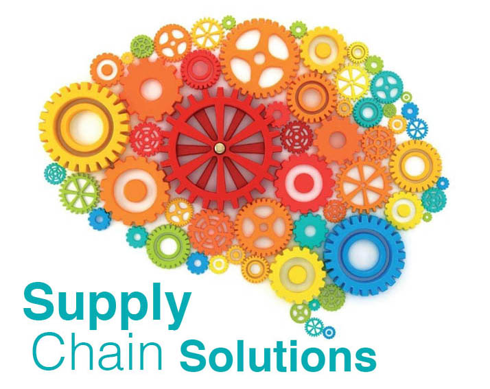 1.1  AED Group_Supply Chaine